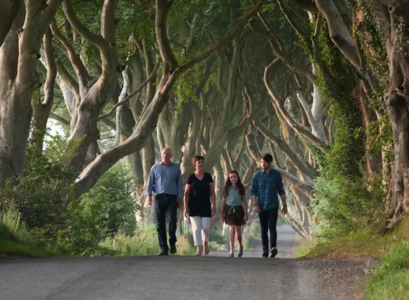 Dark Hedges